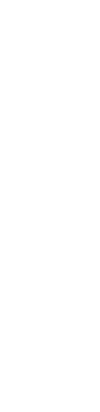 洋風うどんTAMAYA/うどんと肴 たまや